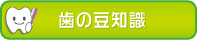 歯の豆知識