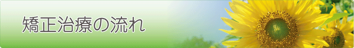 矯正治療の流れ