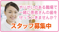 スタッフ募集