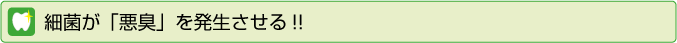 細菌が「悪臭」を発生させる!!