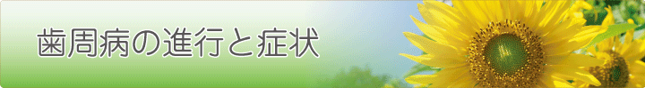 歯周病の進行と症状